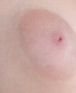 Мила — фото 13